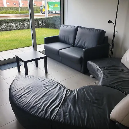 Vlasbloem 0002 نيوبورت